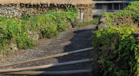 생활풍속(의식주)