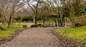 숫모르편백나무숲길