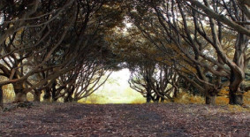 덕천리 팔자 좋아