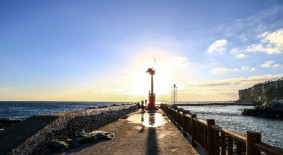 제주올레 8코스