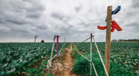 제주올레 10코스