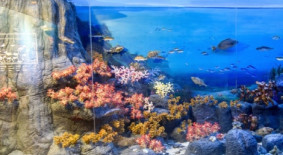 제주세계자연유산센터